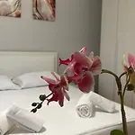 One-bedroom Near U.s. Embassy Lägenhet Tirana