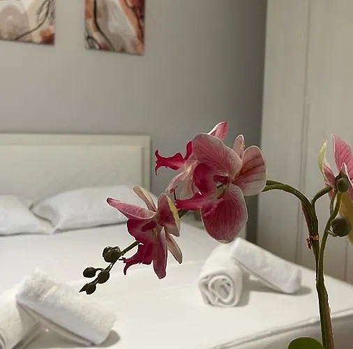 One-bedroom Near U.s. Embassy 公寓 地拉那